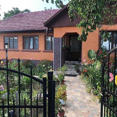 Casuta Bunicilor Isverna Otel Dış mekan fotoğraf
