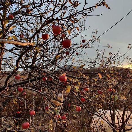 Casuta Bunicilor Isverna Otel Dış mekan fotoğraf