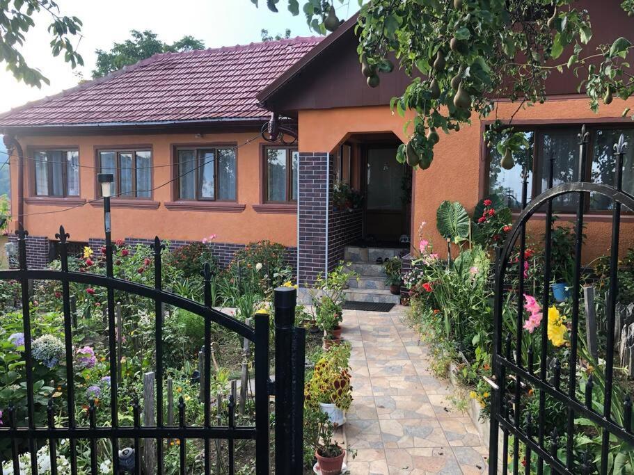Casuta Bunicilor Isverna Otel Dış mekan fotoğraf