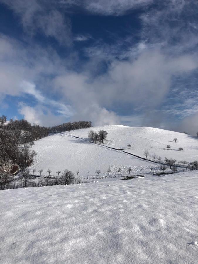 Casuta Bunicilor Isverna Otel Dış mekan fotoğraf