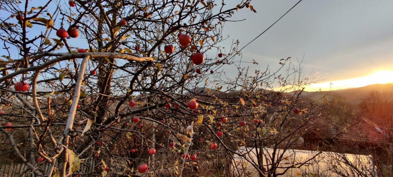 Casuta Bunicilor Isverna Otel Dış mekan fotoğraf