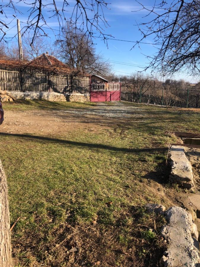 Casuta Bunicilor Isverna Otel Dış mekan fotoğraf